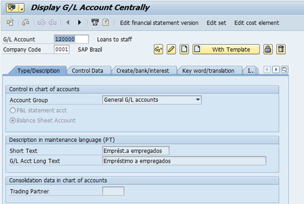 Balance Sheet and P&L Statement Accounts in SAP FICO