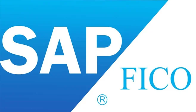 SAP Fi Organizational Structure - Components, Configuring